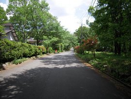 伊豆平パールタウン